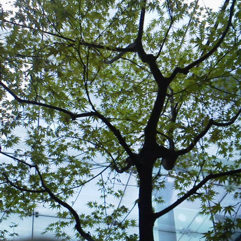 d0014133_1045964.jpg