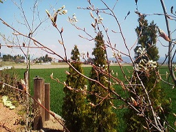 a0272241_16103948.jpg