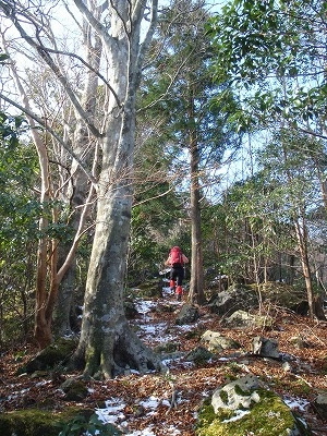 c0097754_10425789.jpg