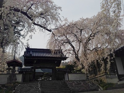 e0001860_846190.jpg