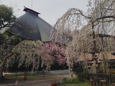 e0001860_8464139.jpg