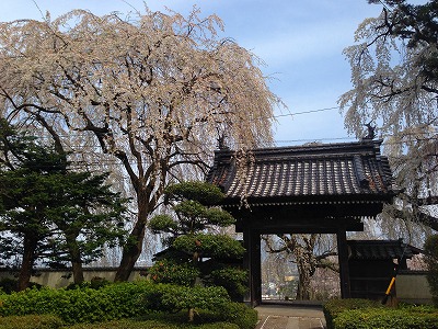 e0001860_847374.jpg