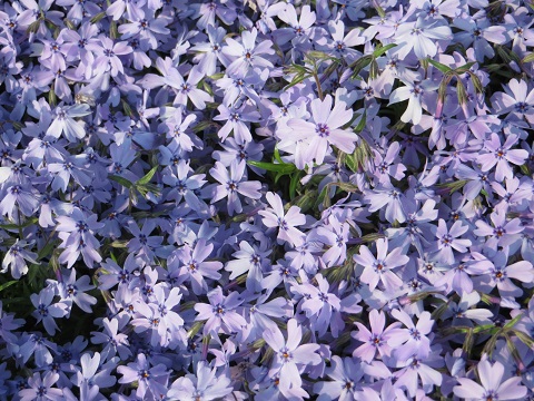 d0120665_22465569.jpg