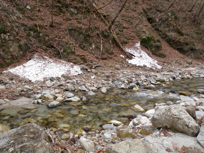 b0120066_10541332.jpg