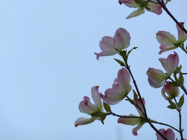 b0326576_1654797.jpg