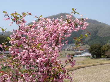 a0234877_1130315.jpg