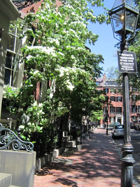 e0262977_11482636.jpg
