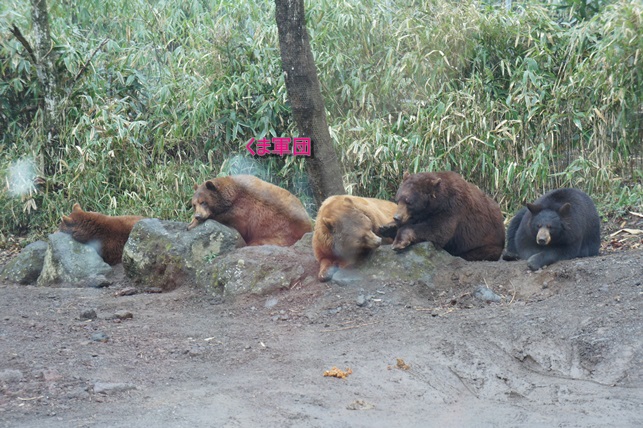 c0163878_927324.jpg