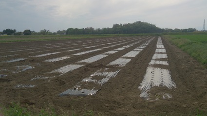 e0050579_189521.jpg