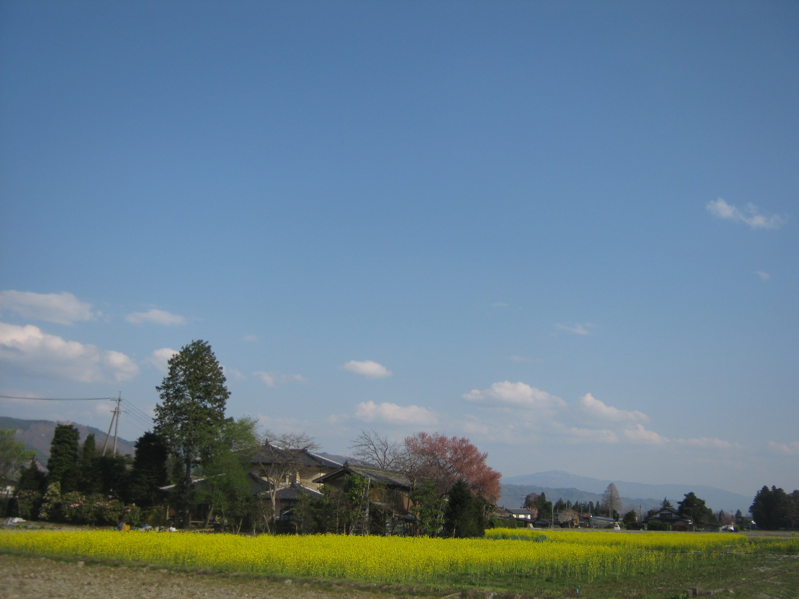 a0034487_19323573.jpg