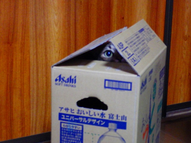 a0159490_1475198.jpg