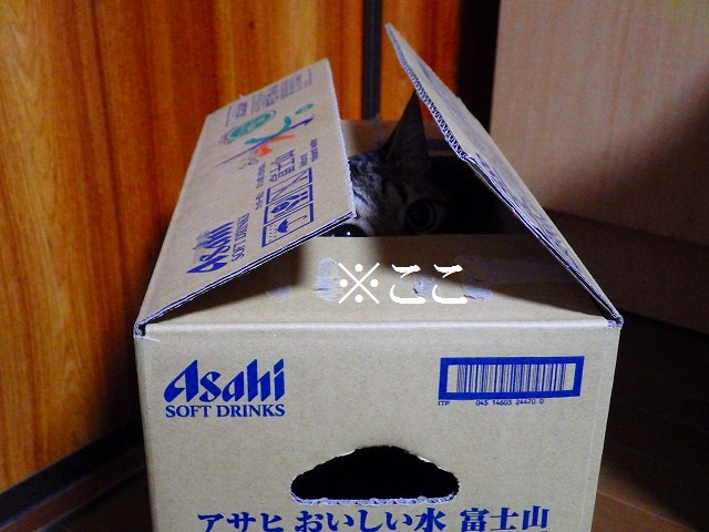 a0159490_1481674.jpg