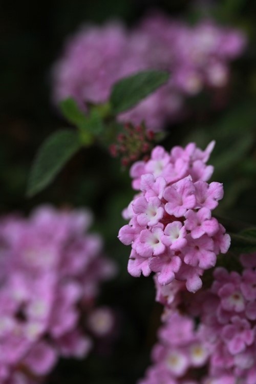 c0151691_17214440.jpg