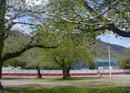 d0053294_23581947.jpg