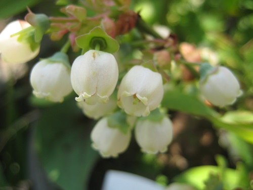 f0201297_2342148.jpg