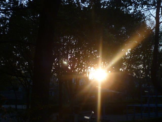 e0326699_10512791.jpg