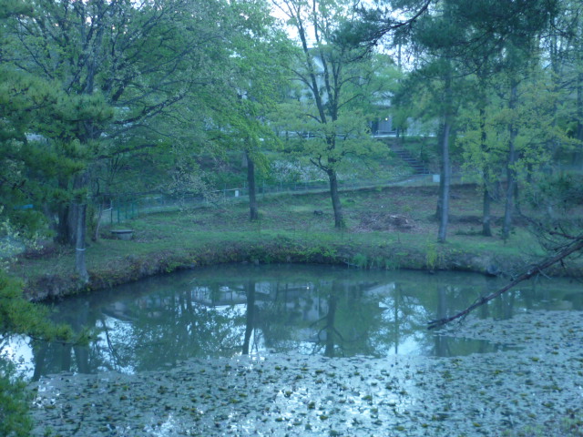 e0326699_1194764.jpg