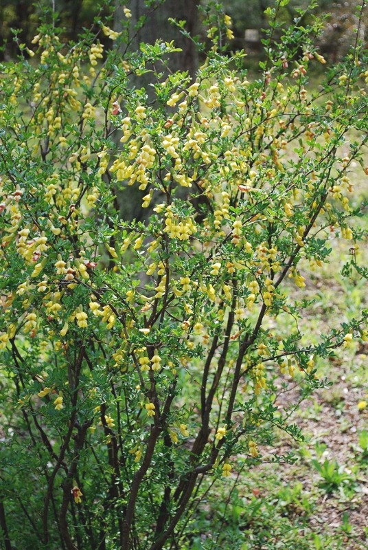 e0025300_1842342.jpg
