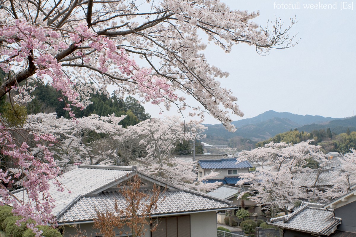 b0138101_20294910.jpg