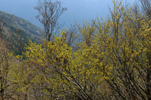 e0304001_22503243.jpg
