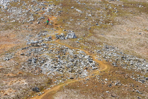 e0304001_2250792.jpg