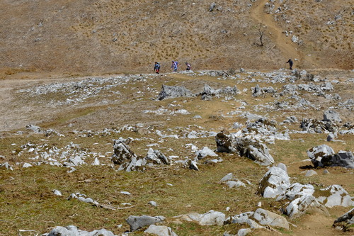 e0304001_22513184.jpg