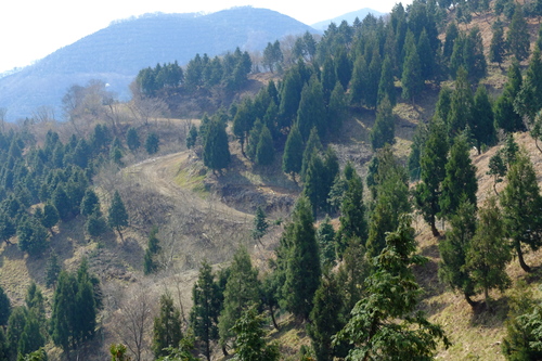 e0304001_2252396.jpg