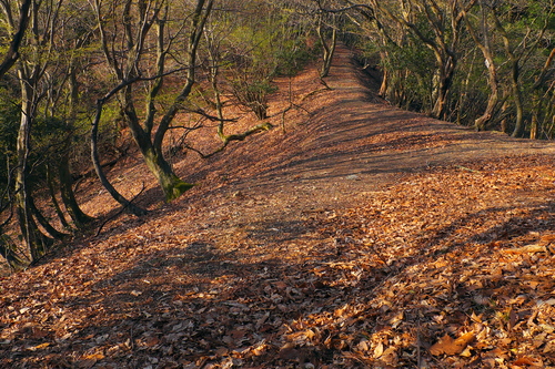 e0304001_22533750.jpg