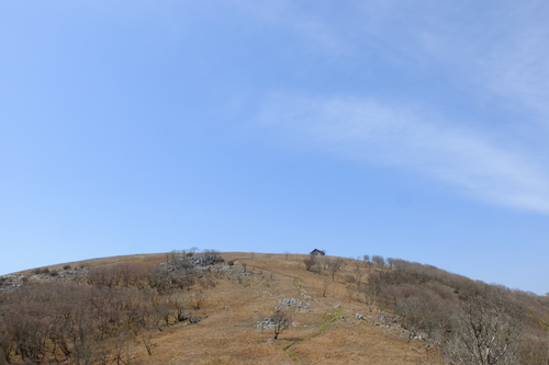 e0304001_2253474.jpg