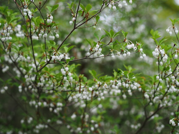 f0302208_23143914.jpg