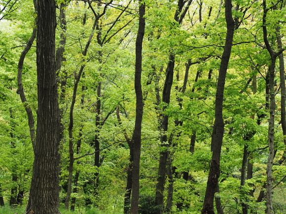 f0302208_237151.jpg
