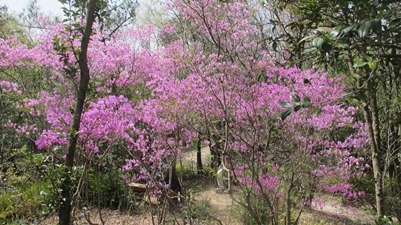 f0231422_0444088.jpg