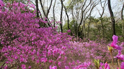 f0231422_0444340.jpg