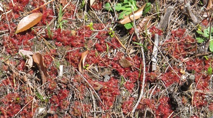 f0231422_054417.jpg