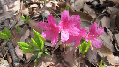 f0231422_0551794.jpg