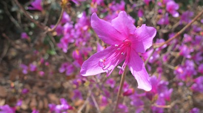 f0231422_0581197.jpg