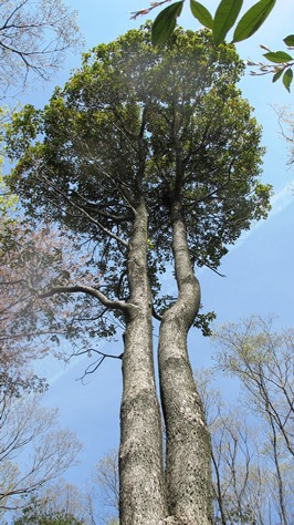 f0231422_1105123.jpg