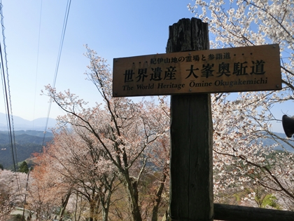 a0105023_14393214.jpg
