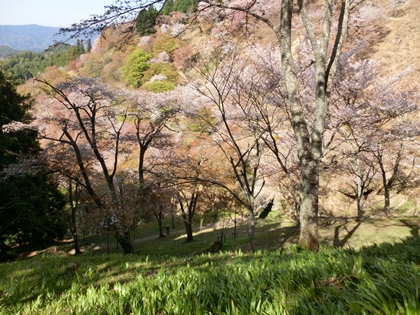 a0105023_14582871.jpg