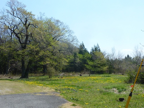 a0230928_1814967.jpg