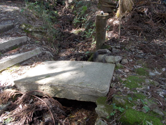 f0111128_01064497.jpg