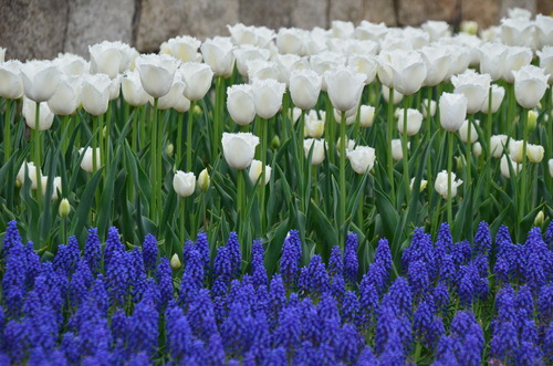 f0124830_0351423.jpg