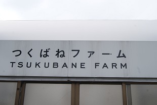 b0151533_1154342.jpg