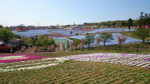 a0014141_16435771.jpg