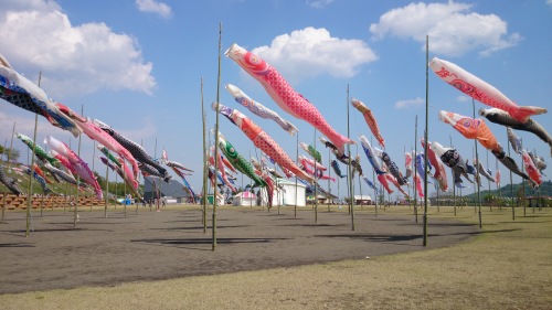 a0014141_16453844.jpg