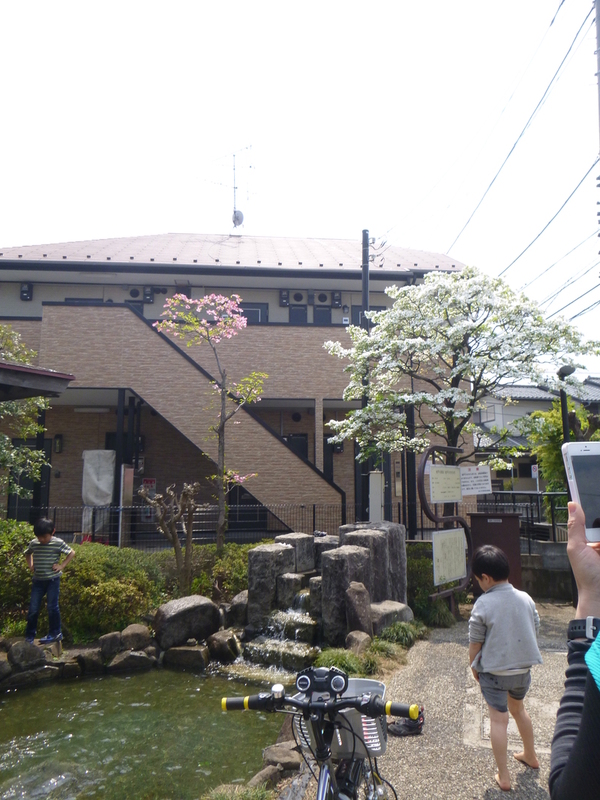 b0170644_20142633.jpg