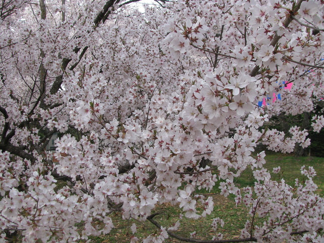 f0151044_20113096.jpg
