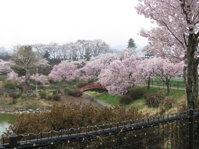 f0151044_2014995.jpg