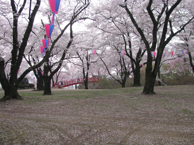 f0151044_2015161.jpg