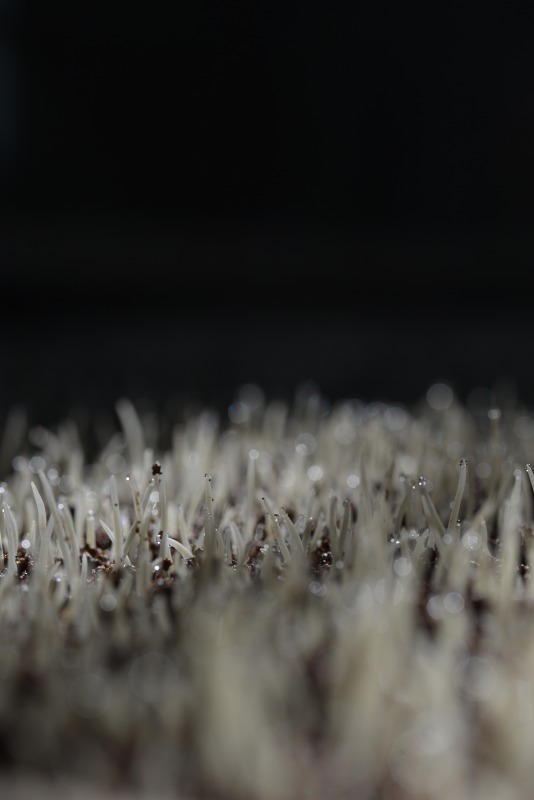 c0145453_23282296.jpg